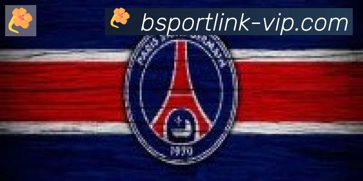 Bsports官网合作伙伴