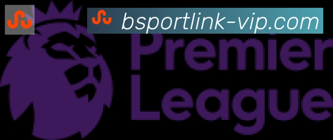 Bsports官网合作伙伴
