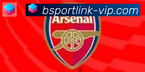 Bsports官网合作伙伴